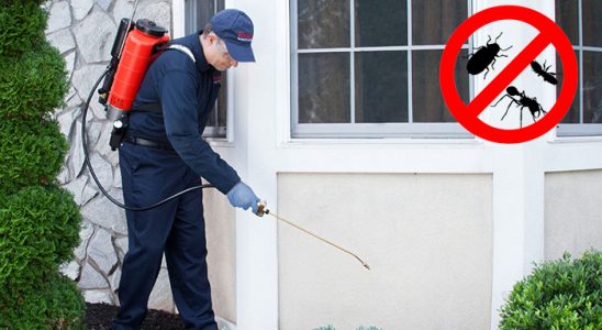 Büyükorhan Böcek İlaçlama böcek ilaçlama ve haşere kontrolü — ilaclama-tr.com